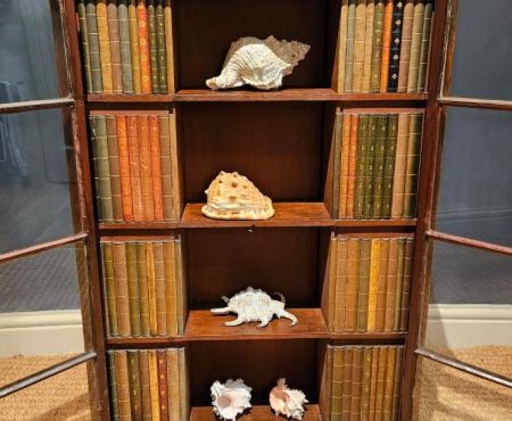 Georgian Four Sided Collectors Cabinet - Image 2