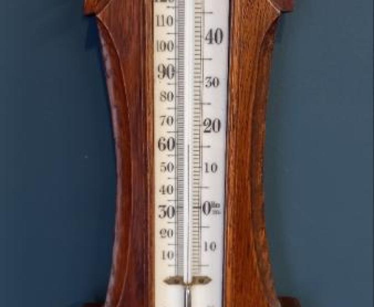 Mid Victorian Benetfink of London Banjo Barometer - Image 4