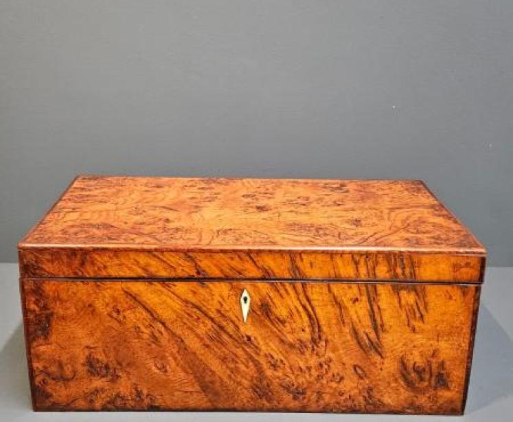 Early Victorian Burr Oak and Yew Writing Slope - Image 1