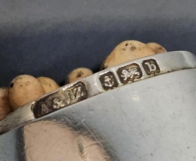 Victorian Silver Sovereign and Vesta Case - Image 5