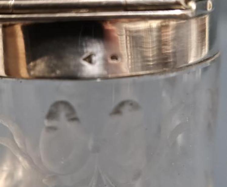 Rare Edwardian Silver and Enamel Room Atomiser - Image 7