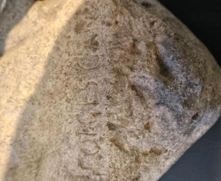 Bronze of a Pointer by Georges Gardet - Image 4