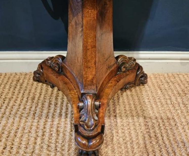 William IV Walnut Teapoy  - Image 3
