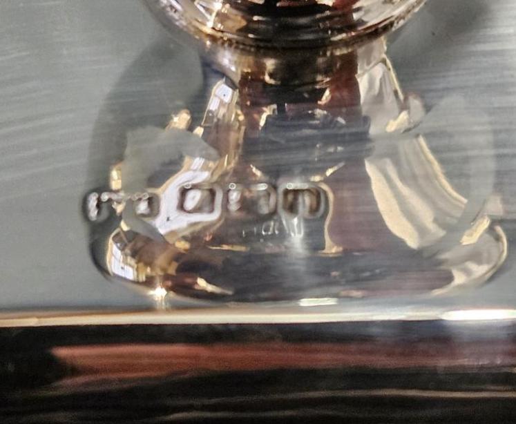 Brook and Son's Edinburgh Silver Blotter  - Image 5