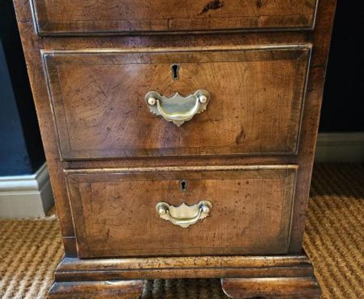 Victorian Walnut Pedestal Desk  - Image 6