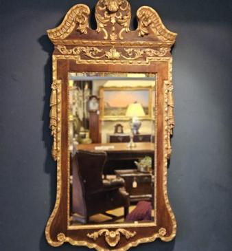 Quality Edwardian Walnut and Timber Gilt Mirror
