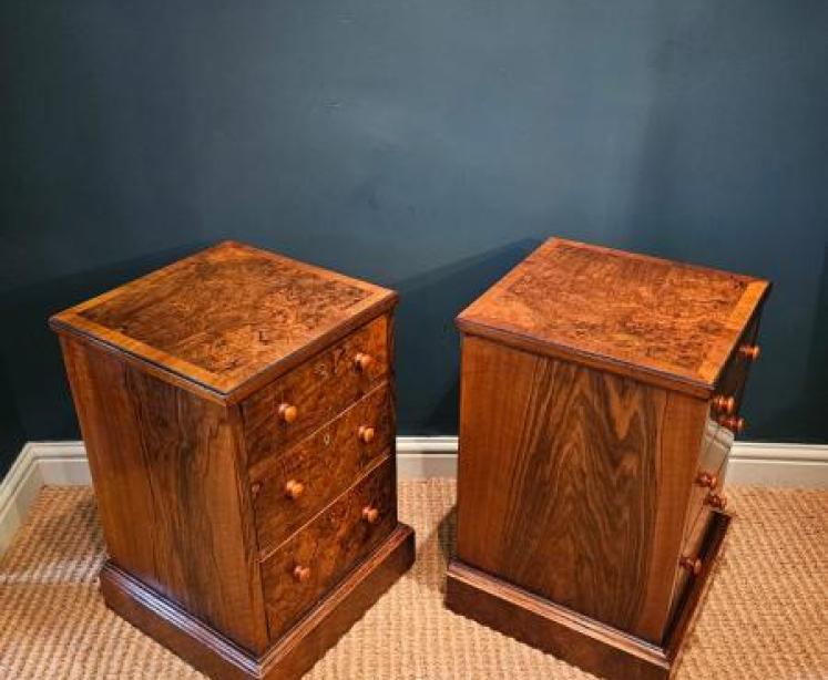 Pair of Victorian Walnut Bedside Chests - Image 6