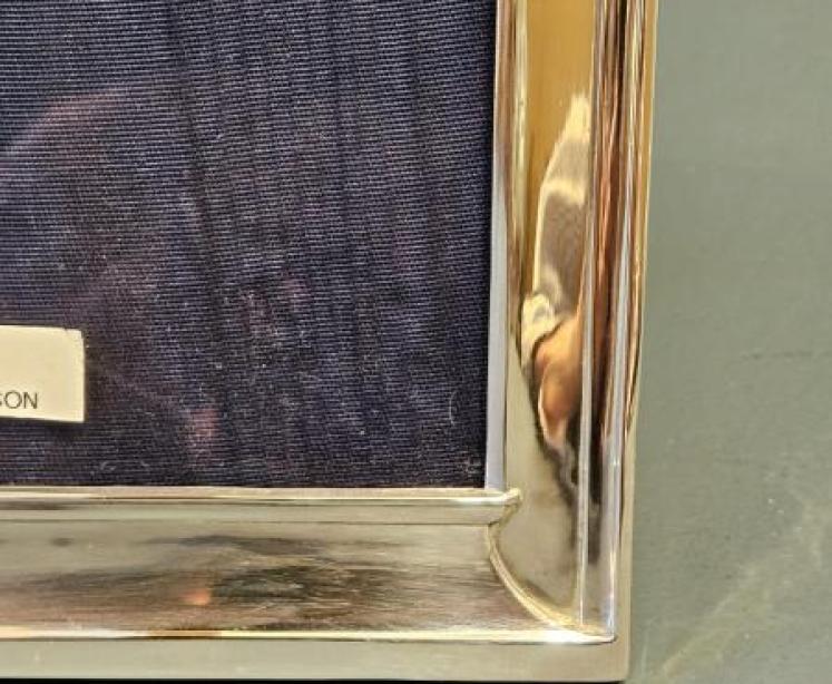 Silver Tucked Arched Top Frame - Image 2