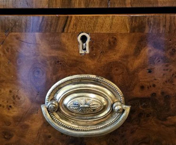 Victorian Walnut Chest of Drawers  - Image 6