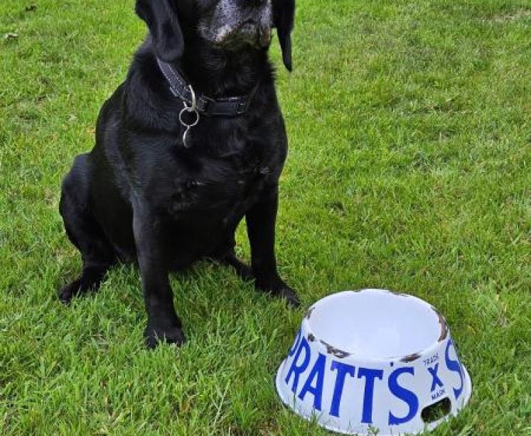 Spratt's Edwardian Large Blue and White Enamel Dog Bowl - Image 6