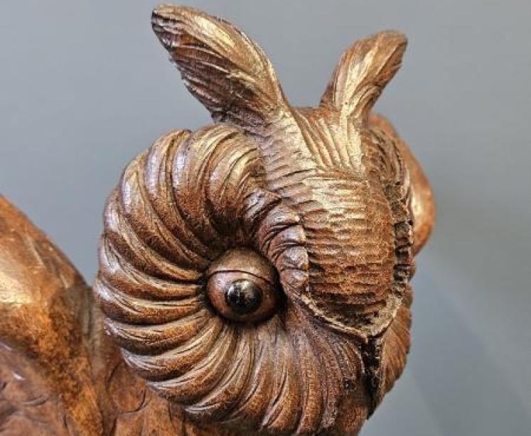 Large Victorian Carved Oak Long Eared Owl - Image 2