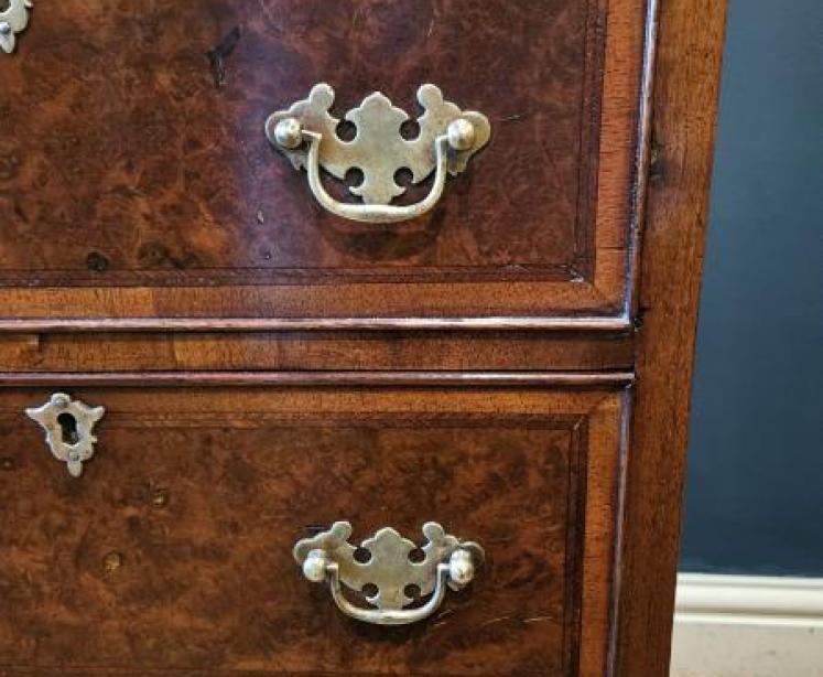 Victorian Burr Walnut Tallboy Chest - Image 4
