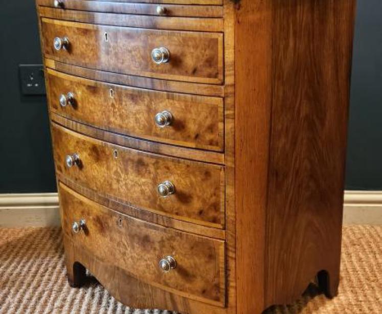 Small proportioned Victorian Burr Walnut Chest with Brushing Slide - Image 4
