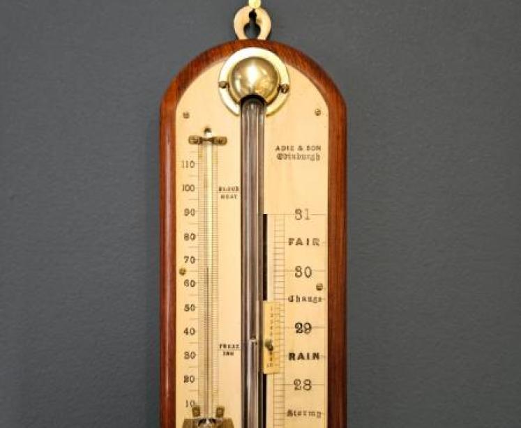 Victorian Rosewood Stick Barometer by Adie, Edinburgh  - Image 2