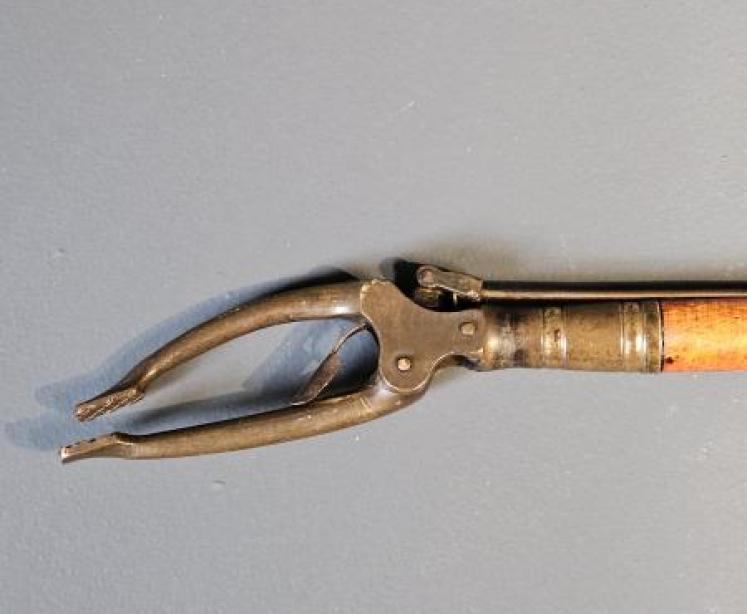 Victorian Country House Butlers Grab - Image 7