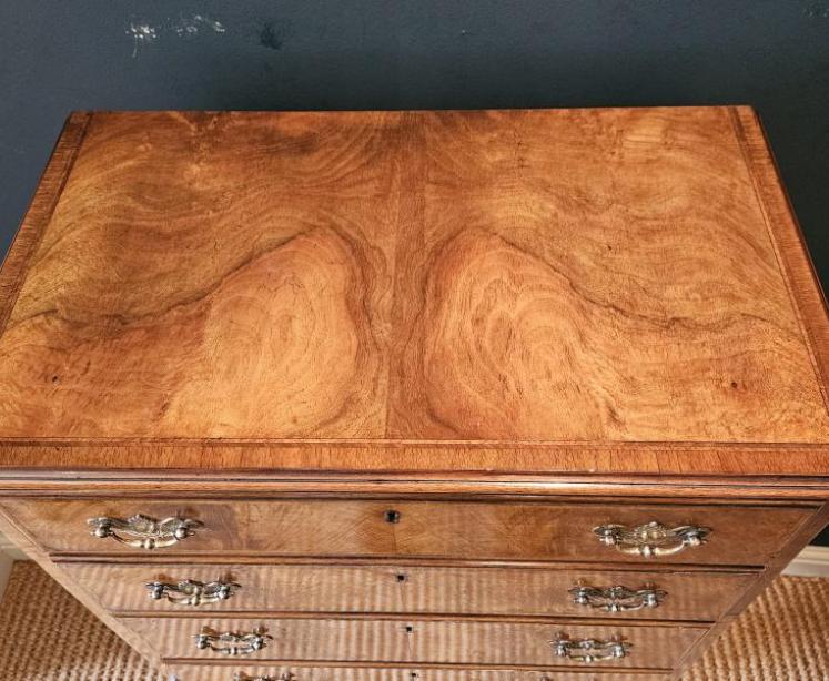 Small Edwardian Walnut Chest on Stand - Image 6
