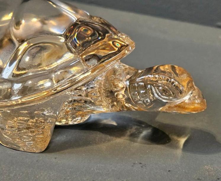 Lalique Gold Lustre Turtle  - Image 3
