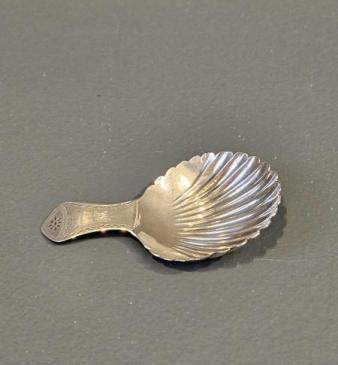 George III Silver Caddy Spoon