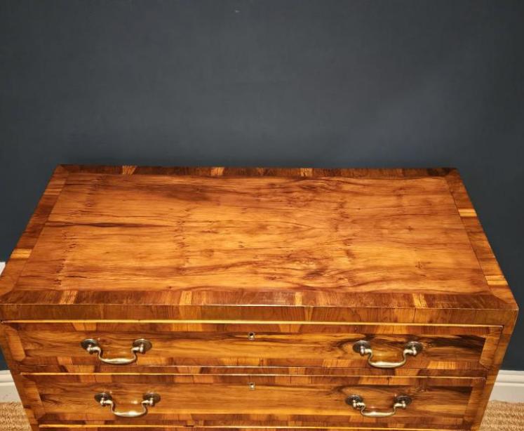 Superb Georgian Yew Wood Chest of Drawers - Image 2