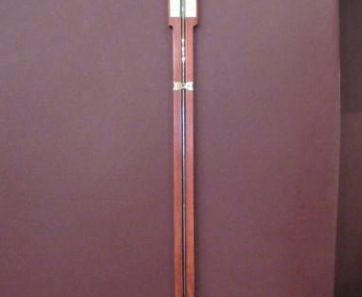 Fine 19th Century Brass Inlaid Agricultural Stick Barometer - Image 5