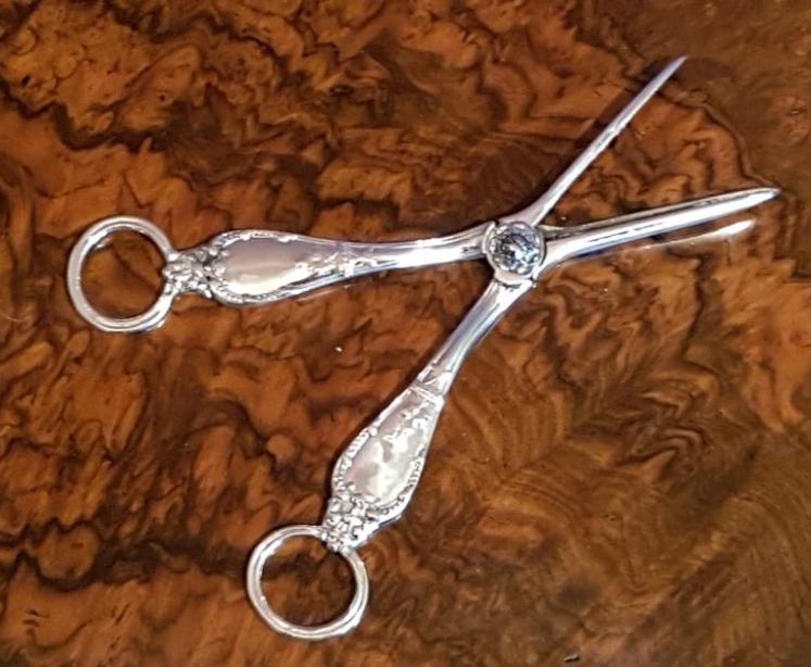 Rare Pair of Early Victorian Solid Silver Grape Scissors - Image 2