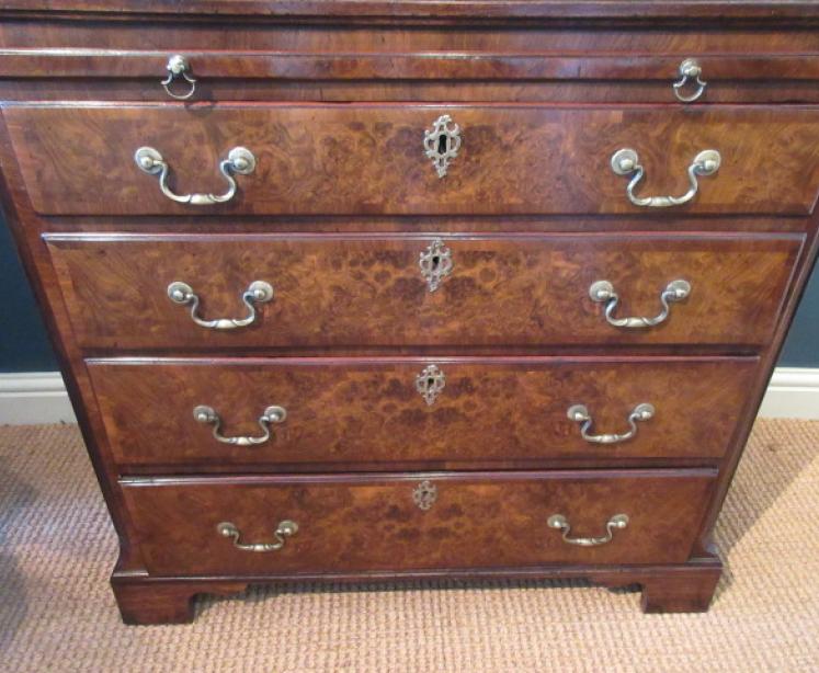 George III Period Antique Burr Walnut Bachelor's Chest - Image 3
