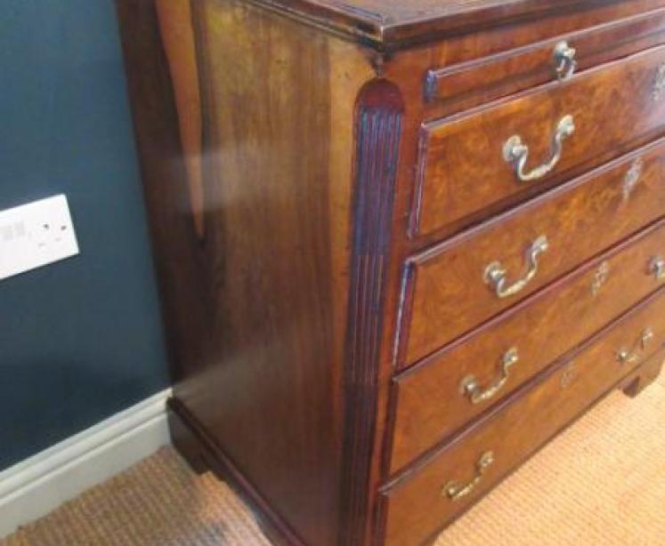George III Period Antique Burr Walnut Bachelor's Chest - Image 4