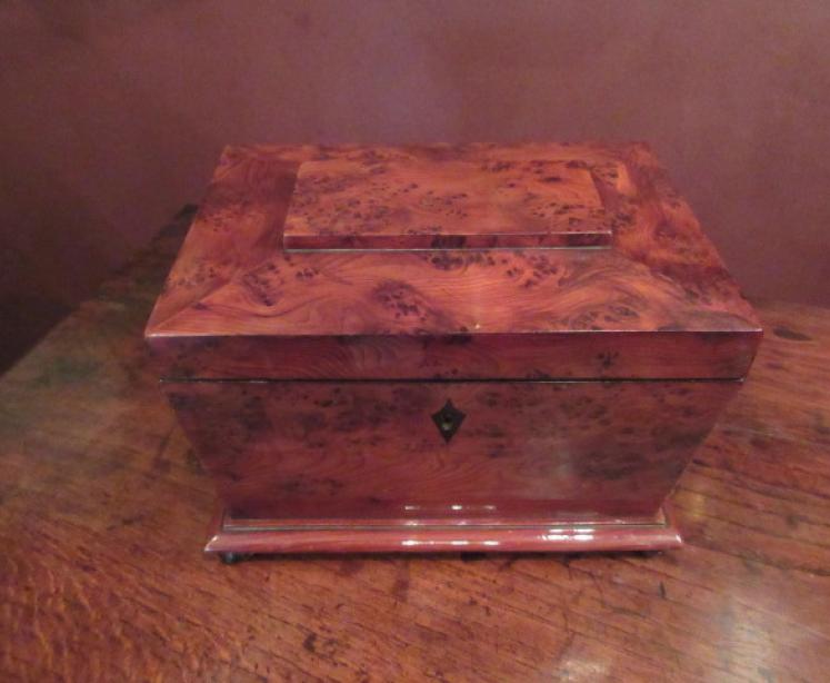 Regency Period Burr Yew Tea Caddy - Image 1