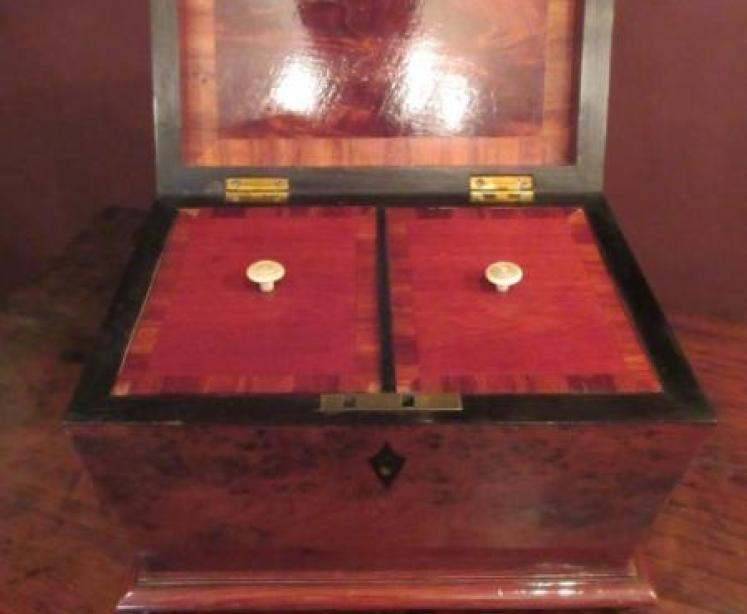 Regency Period Burr Yew Tea Caddy - Image 3