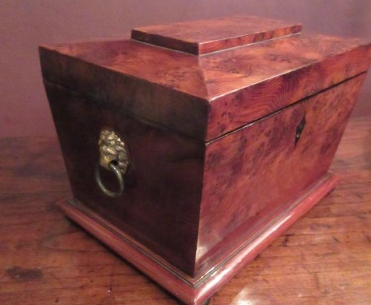Regency Period Burr Yew Tea Caddy - Image 4