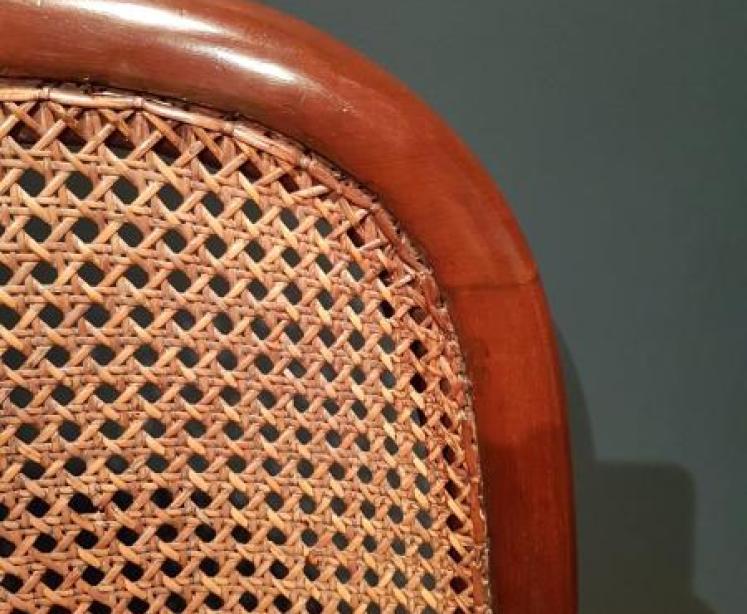 Superb William IV Mahogany Bergere Library Chair - Image 4