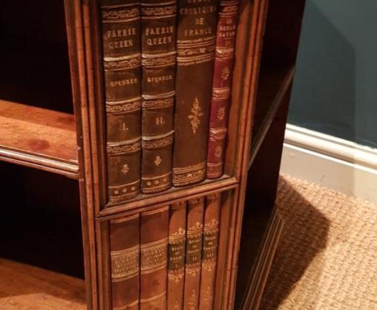Edwardian Figured Walnut Revolving Bookcase - Image 5